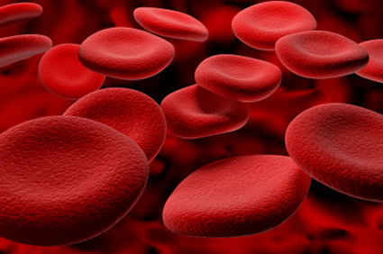 Glóbulos vermelhos cultivados em laboratório foram transfundidos em duas pessoas em ensaio clínico inédito