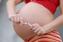 22% dos casos de síndrome da morte súbita infantil nos Estados Unidos podem ser diretamente atribuídos ao tabagismo durante a gravidez