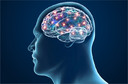 A variante de risco para Alzheimer APOE4 foi associada ao mau funcionamento da montagem da mielina